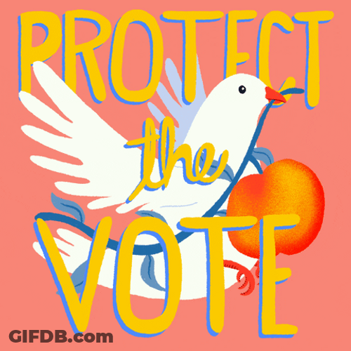 Peace Dove Carrying Peach Artwork GIF