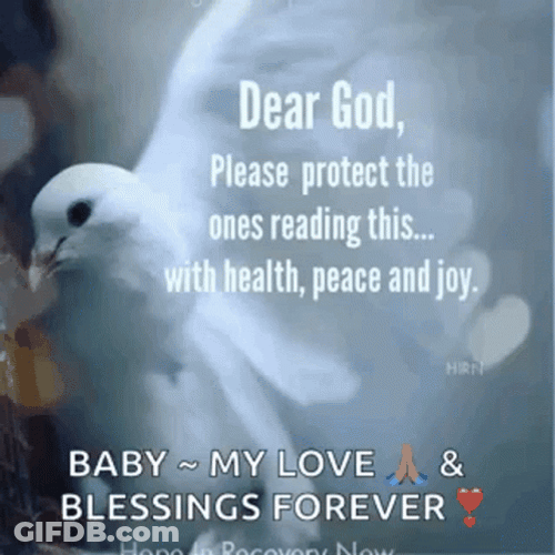 Peace Dove Praying For You GIF