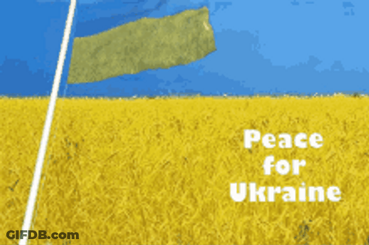 Peace For Ukraine Field GIF