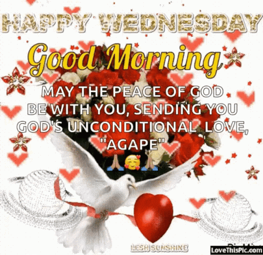 Peace Of God Happy Blessed Wednesday GIF
