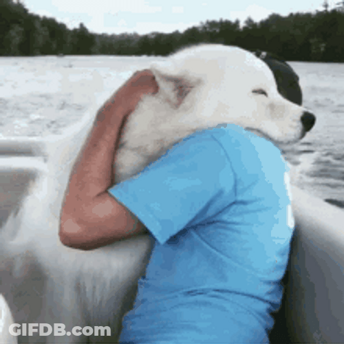 Peaceful Dog Hug On A Boat GIF