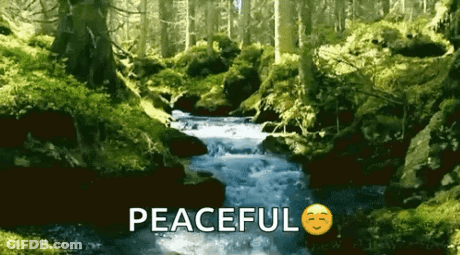 Peaceful River Flowing GIF