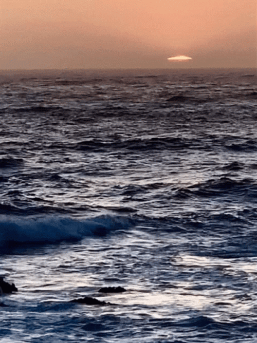Peaceful Scene Of The Ocean GIF