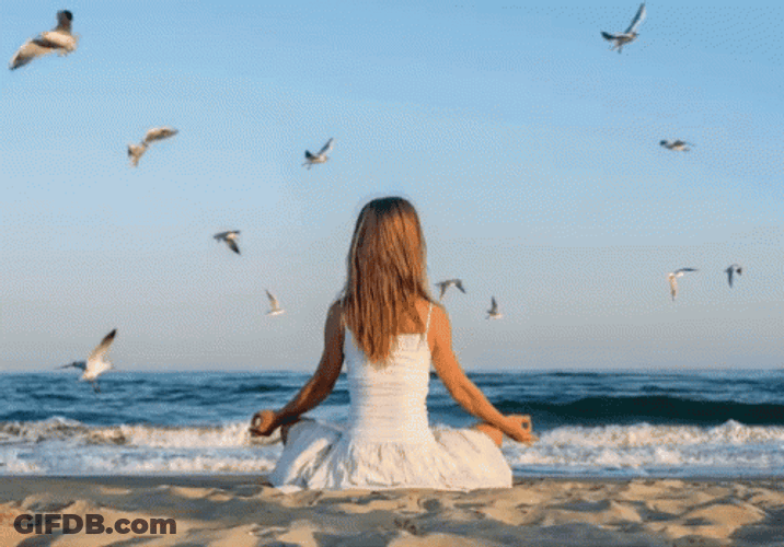 Peaceful Time With The Sea GIF
