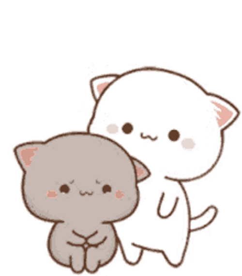 Peach And Goma Cats Comfort Hug GIF