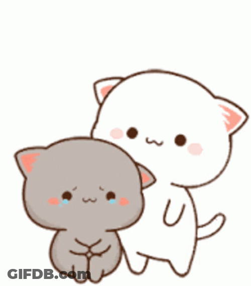 Peach And Goma Cats Comfort Hugs GIF