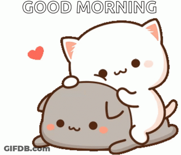 Peach And Goma Cats Good Morning Cartoon GIF
