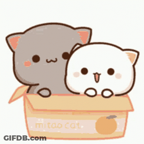 Peach And Goma Cuddling In Box GIF