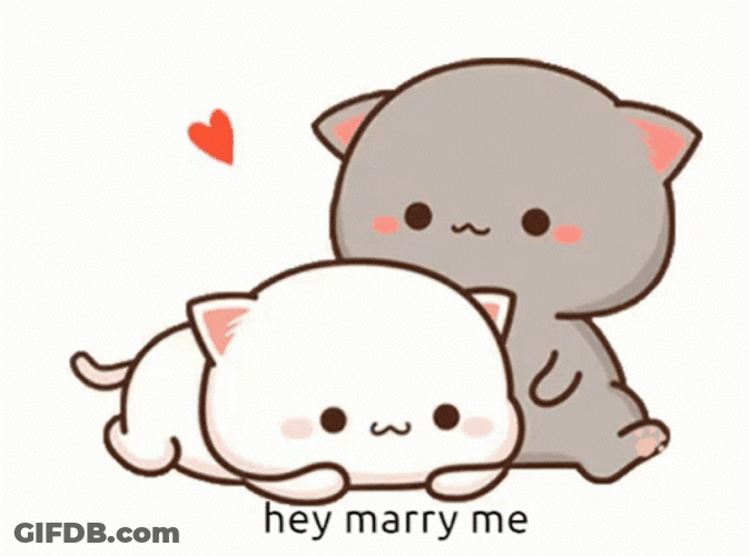 Peach And Goma Marry Me GIF