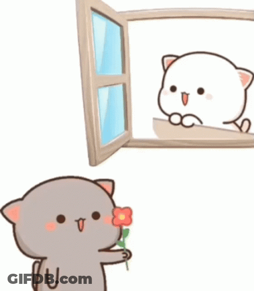 Peach And Goma Peeking In Window GIF