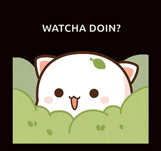 Peach And Goma Peeking Watcha Doing GIF
