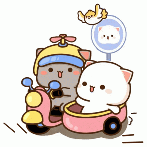 Peach And Goma Pink Bike Ride GIF