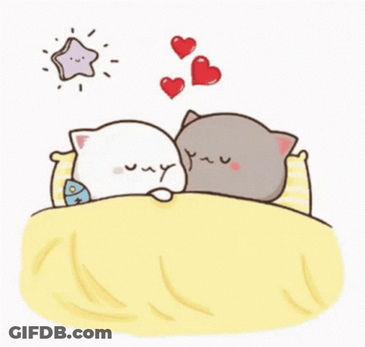 Peach And Goma Snuggling In Bed GIF