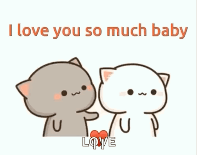 Peach Baby Cat Love GIF