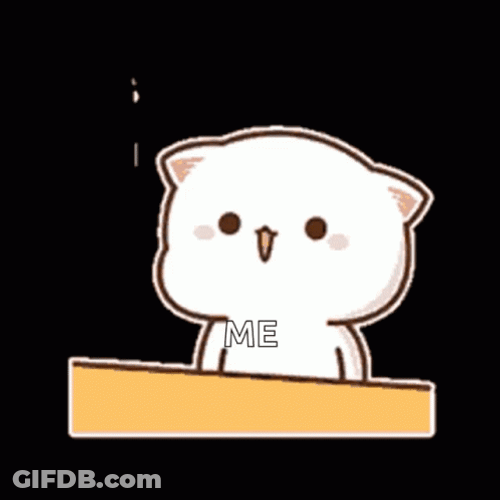 Peach Cat Banging Head Against Wall GIF