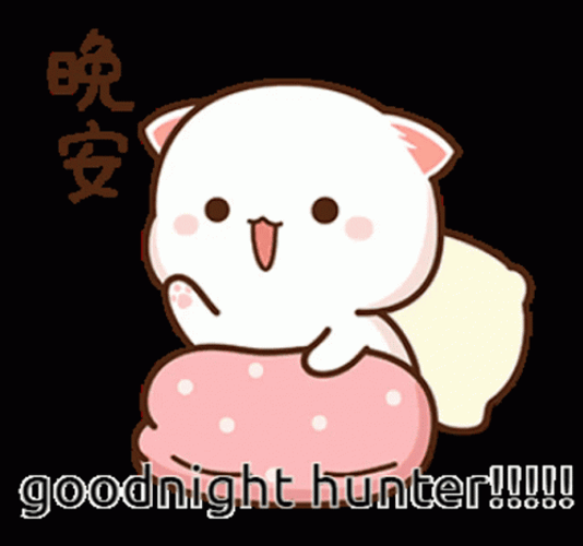 Peach Cat Dobranoc Hunter GIF