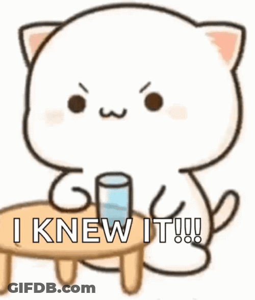Peach Cat I Knew It GIF