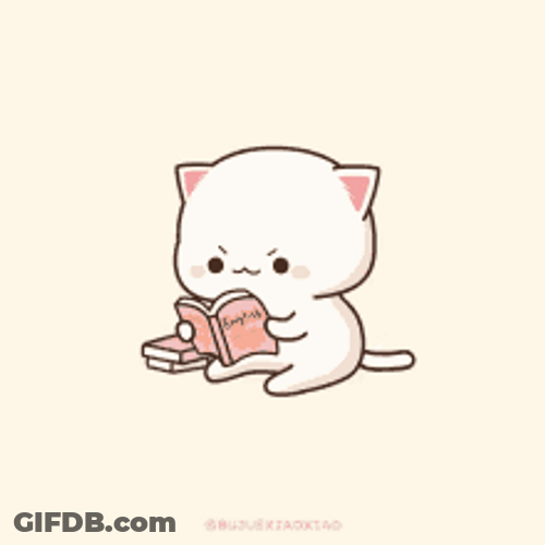 Peach Cat Reading Study Hard GIF