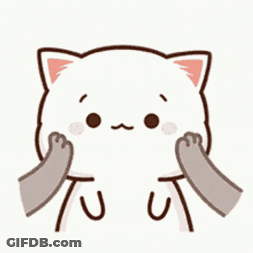 Peach Cat Squish Cheeks GIF