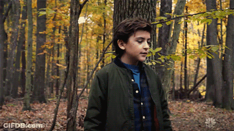 Peacock Boy Forest Manifest GIF