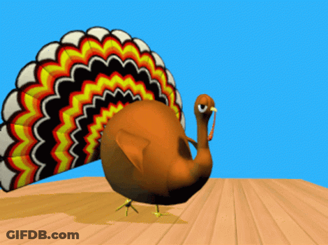 Peacock On Bowling Alley GIF