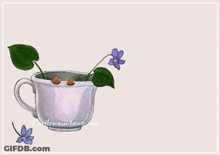 Peak A Boo Special Good Morning GIF