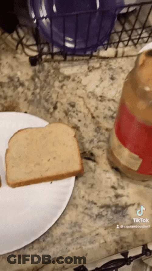 Peanut Butter Jelly Time Hand Made Meme GIF