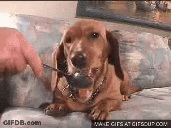 Peanut Butter GIF