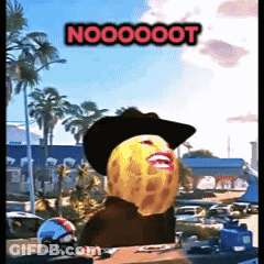 Peanut In Cowboy Hat Saying Nooooot GIF