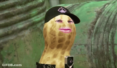 Peanut In Hat With Diamond GIF