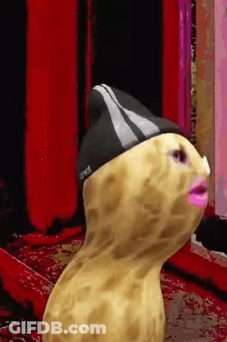 Peanut Wearing Hat Saying OWCT GIF