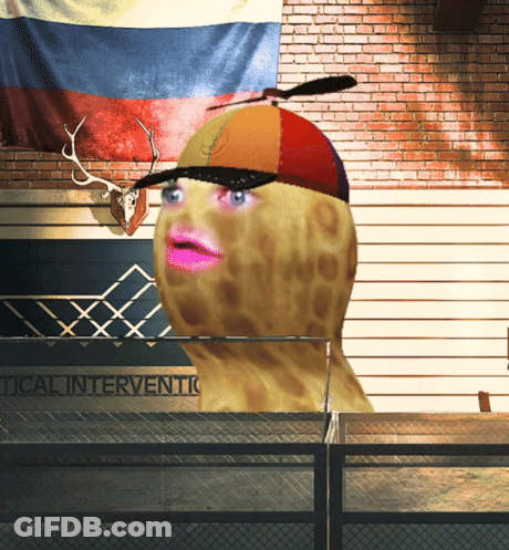 Peanut With Hat And Pink Lips In Front Of Tactical Intervention Sign GIF