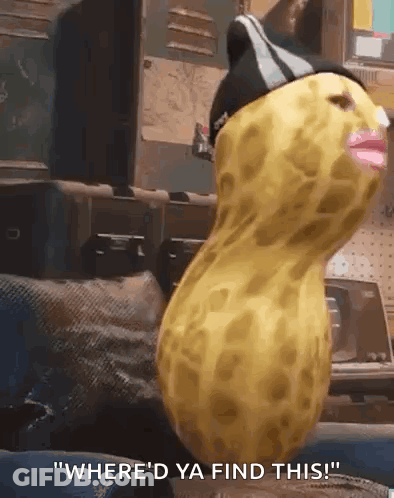 Peanut With Hat Being Held GIF