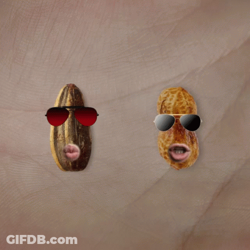 Peanuts Characters Playing In Grass With Dog GIF