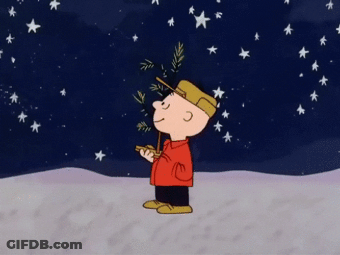Peanuts Merry Christmas Charlie Brown Star Gazing GIF