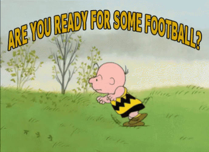 Peanuts Playing Football GIF