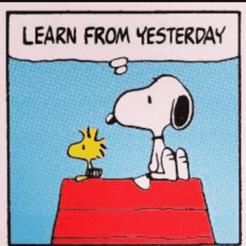 Peanuts Snoopy And Woodstock Learn From Yesterday Live For Today Hang In There Baby GIF