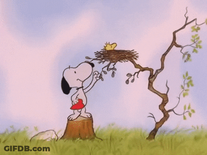 Peanuts Snoopy Giving Valentines Heart To Woodstock GIF