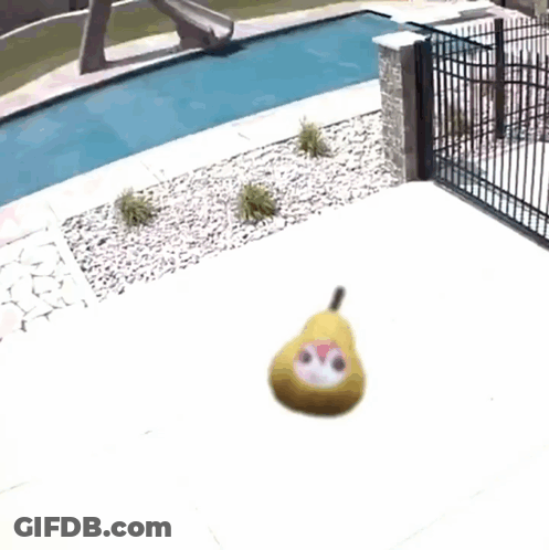 Pear With Face Sitting By Pool GIF