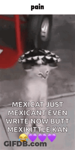 Pearl In Top Hat GIF