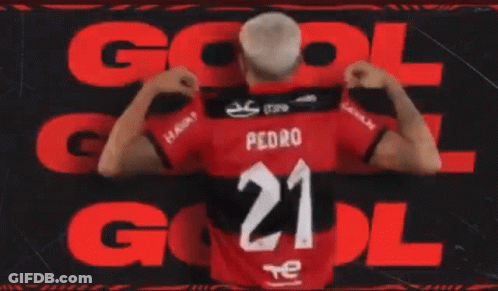 Pedro Flamengo GIF