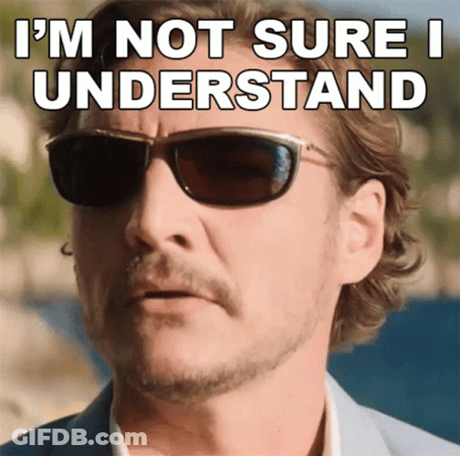 Pedro Pascal I'm Not Sure I Understand GIF