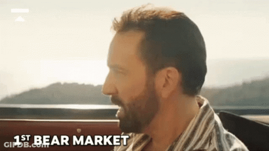 Pedro Pascal Nicolas Cage Bear Market GIF