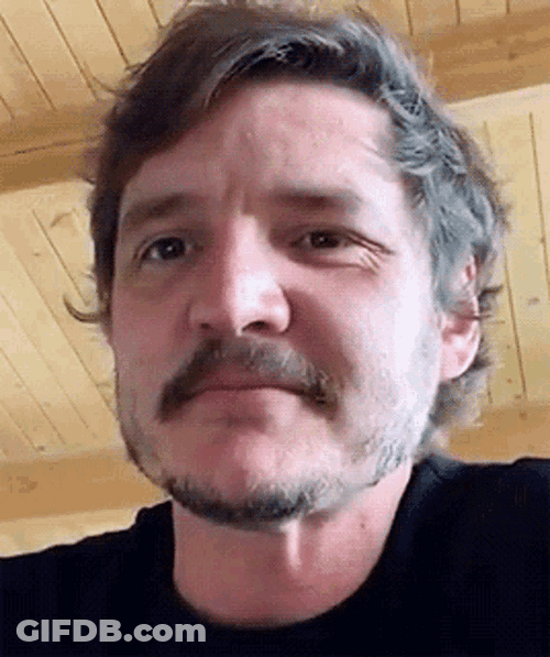 Pedro Pascal Subtle Smile Cute Wink GIF