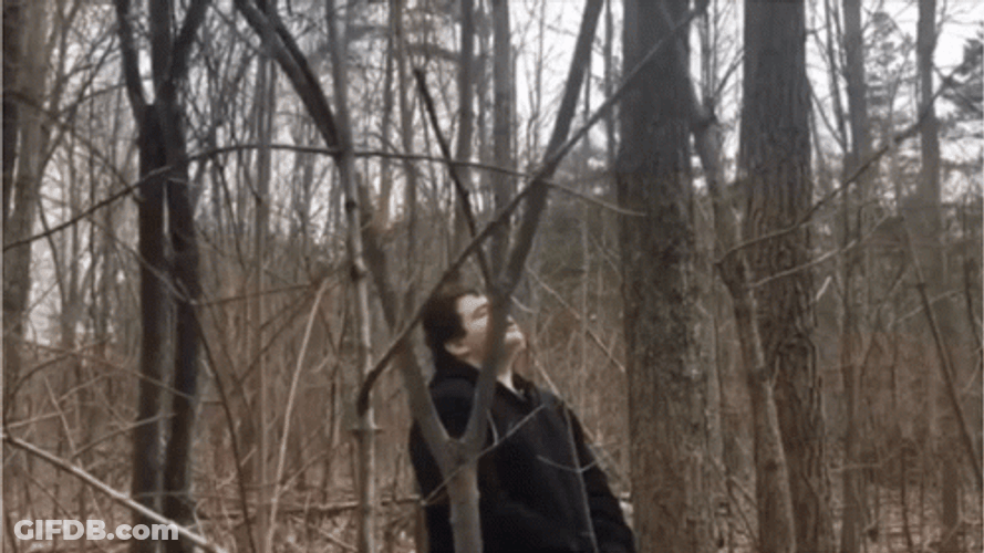Pee In The Forest Woods GIF