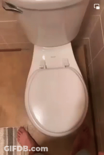 Pee On Toilet Wife Wants To Watch GIF