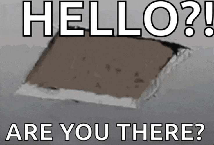 Peek Cat GIF