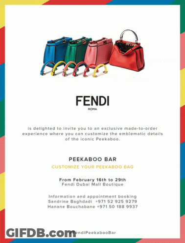 Peekaboo Bar For Fendi Handbags GIF