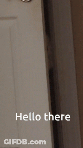 Peeking Around Corner Dog Peeking GIF