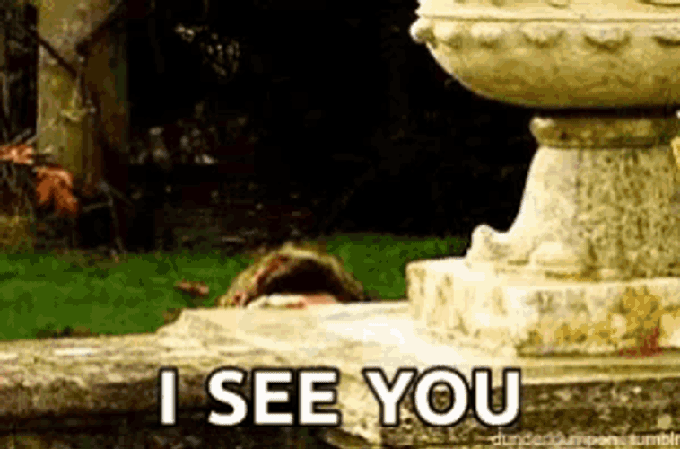 Peeking Drwho GIF